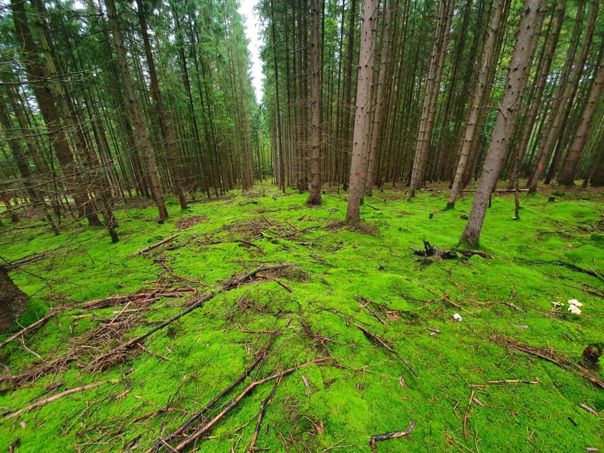 Holzhaus Am See Mit Panoramablick Trausnitz Luaran gambar